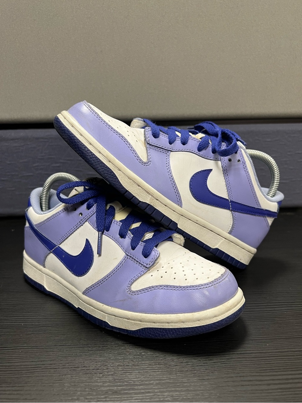 Nike Dunk Low Blueberry Sneakers